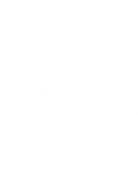 TC_2020_LL_KNOCKOUT_BG_RGB